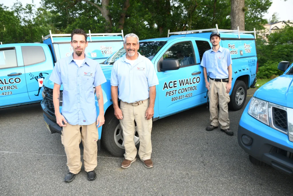 John s and techs