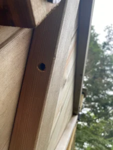 carpenter bee entryhole