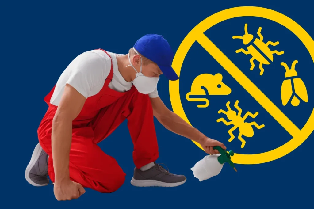 Pest control technician spraying treatment to eliminate ants, rodents, and insects in spring