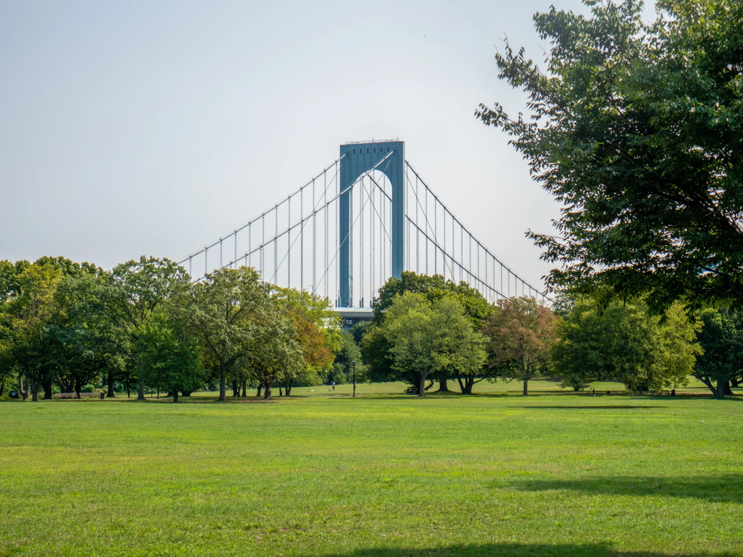 pest control in Staten Island