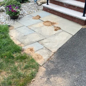 Cicada Wasp Mounds On Patio