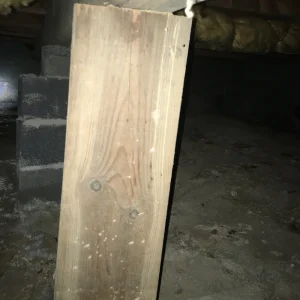 Who Can See Termites in This Crawl Space Main Beam and 2x4